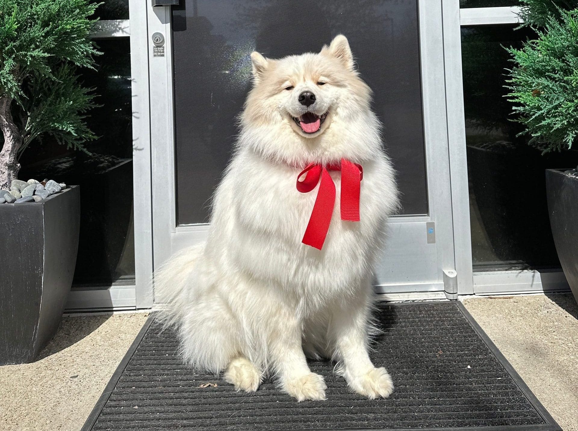 Sascha Scoggins - Director or Morale