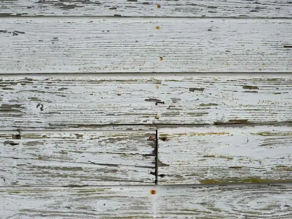 Cracks, Holes, and Gaps Siding