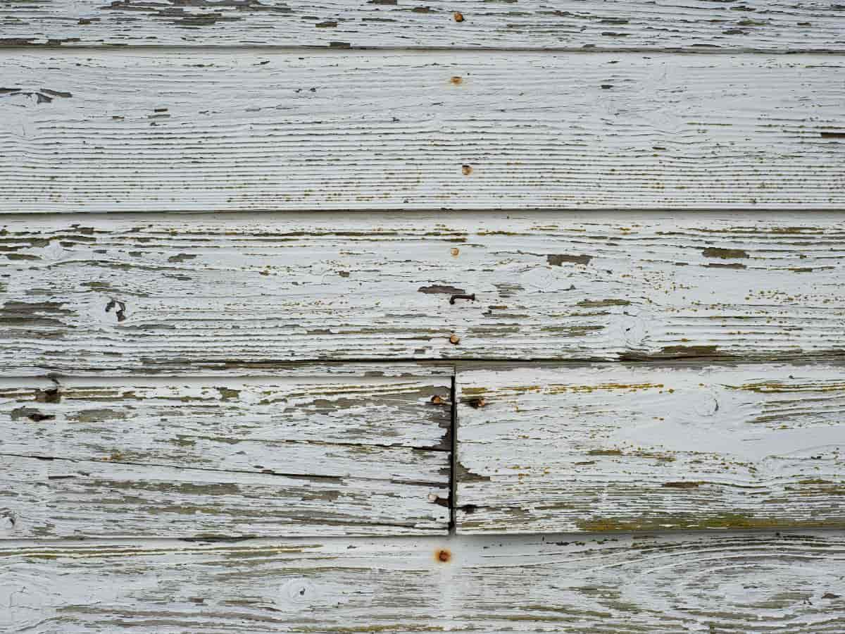 faded and damage siding paint