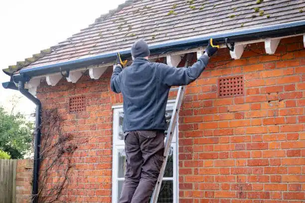 Gutter and Drainage Optimization