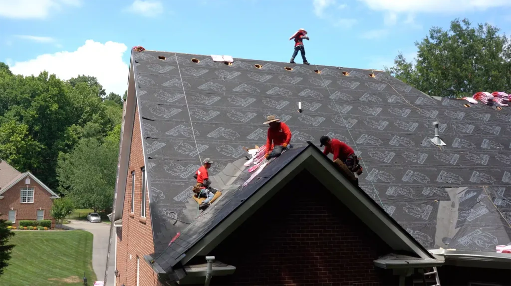 Green Roofing Installation