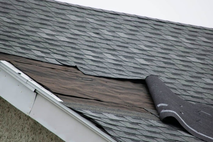 damaged shingles